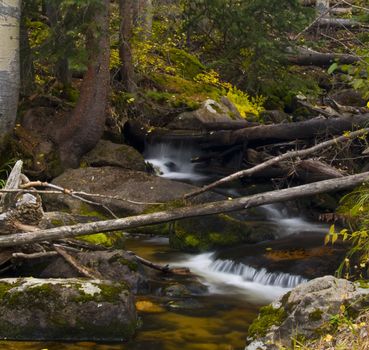 Mill Creek Basin Trail - Rocky Mountain National Park