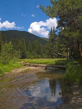 Near the headwaters along the not yet mighty Colorado River in Rocky Mountain National Park.