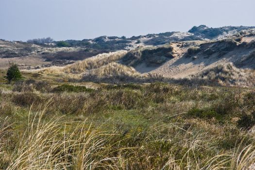 Dune landscape on beautiful morning in april