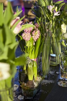 decoration of dining table.  Bouquet of  hyacinth in vase of glass.