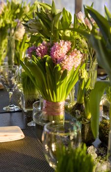 decoration of dining table.  Bouquet of  hyacinth in vase of glass.