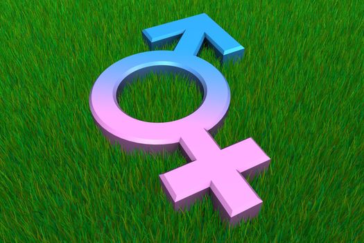 combined blue male and pink female symbol on a grass ground