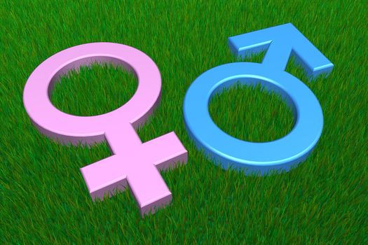 blue male and pink female symbol on a grass ground