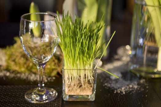 grass in vase of glasses and glass on table. decoration of dining table.