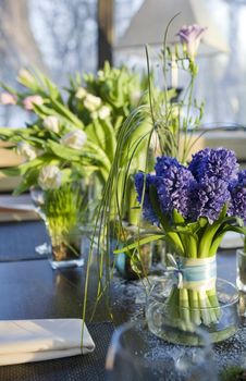 decoration of dining table.  bouquet of  hyacinth in vase of glass.
