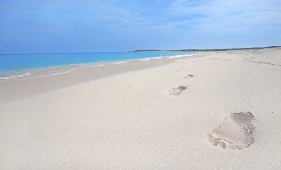 Footprints in the sand on Boca Grandi beach, Aruba