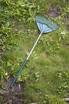 Closeup the rake lying on the grass
