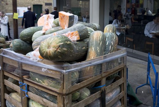 Greengrocery. Food market. Vegetables. pumpkin