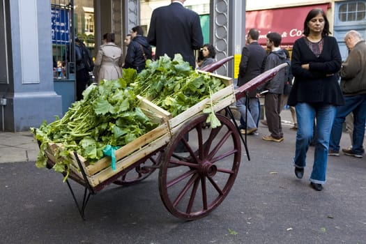 Greengrocery. Food market. Vegetables. 