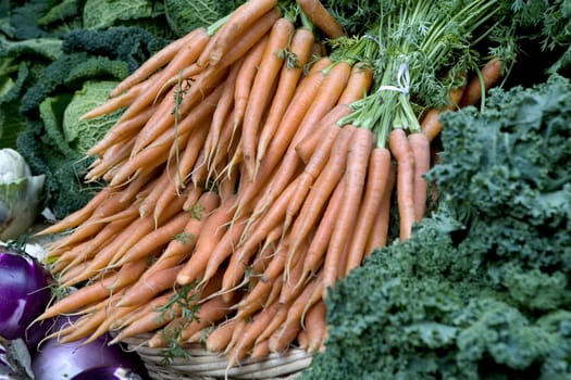 Carrot. Market place