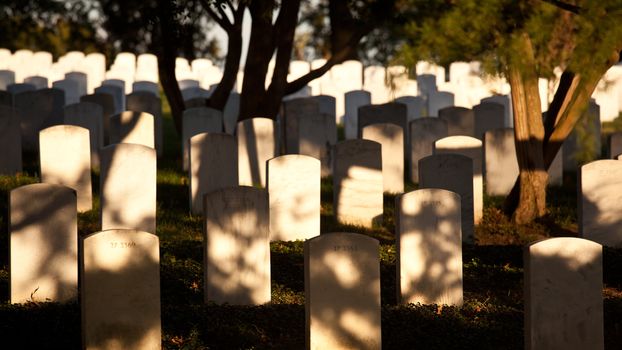 Gravestones lit by the setting sun in Arlington Cemetery