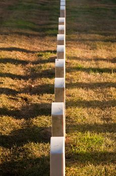 Gravestones lit by the setting sun in Arlington Cemetery