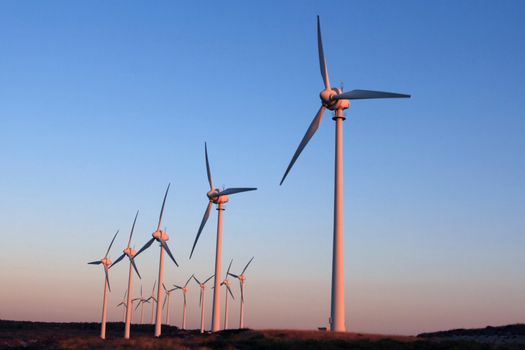 green energy producer windfarm at the sunset