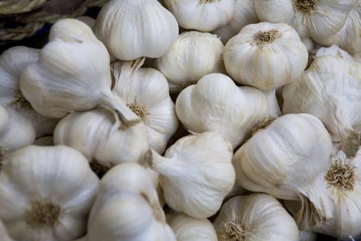 garlic