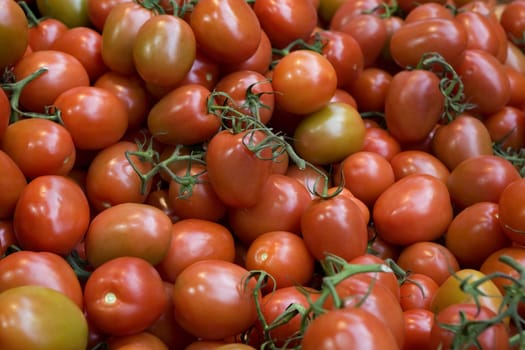 tomatos in grocery store