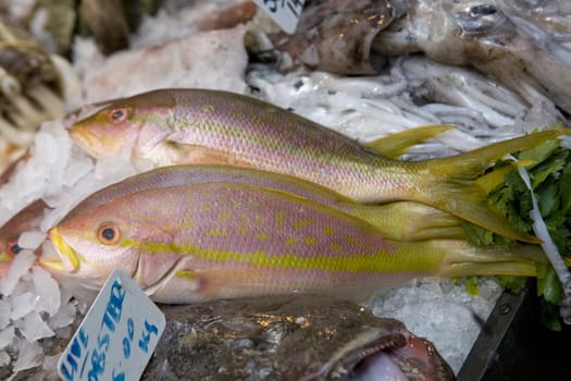 Fish market. London