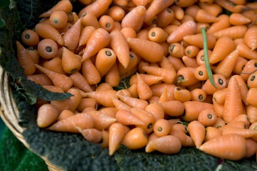 carrot. Food market