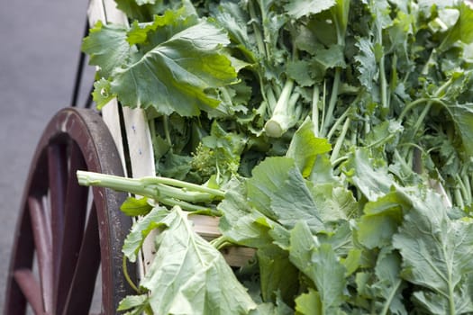 waggon with lettuce and parsley