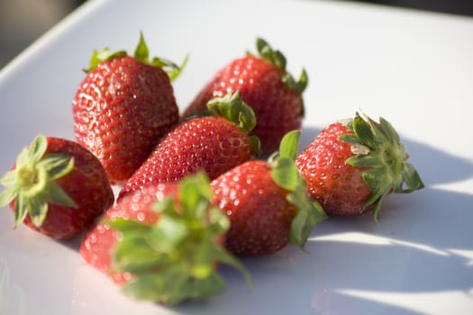 Strawberries on the white plate