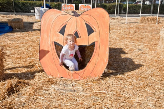 Cute little European toddler girl having fun on pumpkin patch.