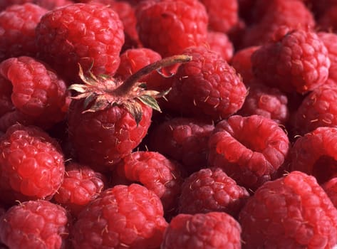 Fresh raspberry with a water drop