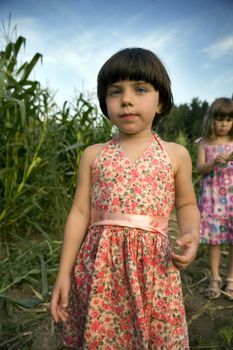 little cute serious girl standing in the middle of corn`s field. Summer time
