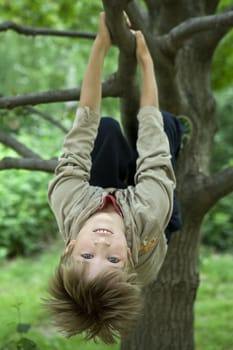 cute boy hanging from branch of tree. Summer time