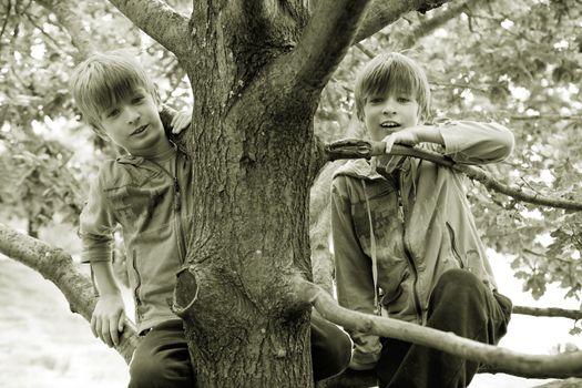 cute twins brother climb  tree. Summer time
