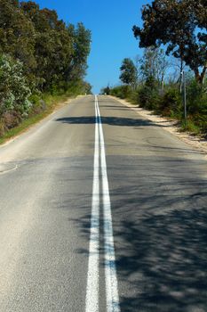 grey road, trees, blue sky, no car, 