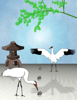Two whooping cranes curiously investigate a Japanese Zen garden - a raster illustration.