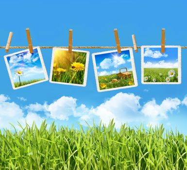 Tall grass with 4 pictures on clothesline with blue sky