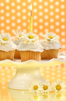 Cupcakes decorated with icing and little daisies on cake tray