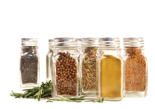 Spice jars with fresh rosmary leaves against white background