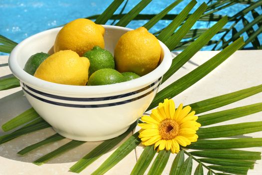 Lemons and limes in a bowl by the pool