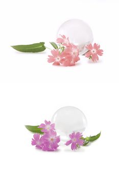 The glass globe and flowers on a white background