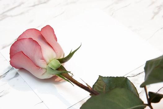 The red rose and the letter lie on a marble table