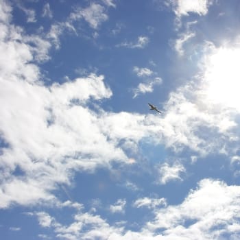 The blue sky, clouds and the sun