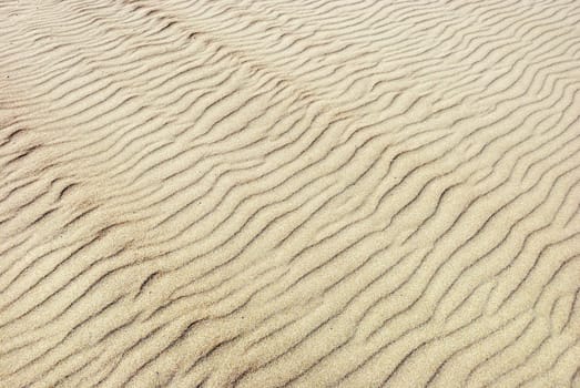 Ripples in the sand on a sunny day.