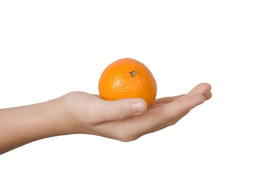 Tangerine on a palm on the white isolated background