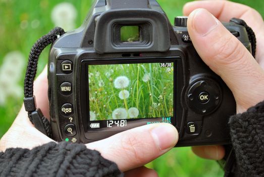 Camera Display showing plants and natural landscape with fingers
