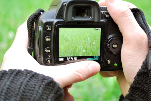 Camera Display showing plants and natural landscape with fingers
