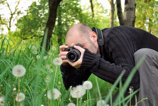 photographer pointing his camera to several dandelions
