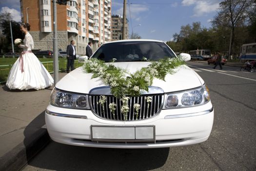  decoration of wedding  limousine. Bouquet of camomile.