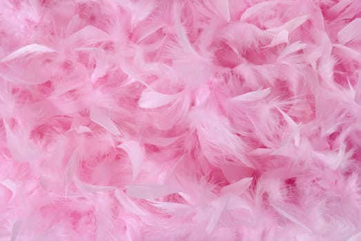 Fluffy bird feathers in pastel colors. Soft romantic background