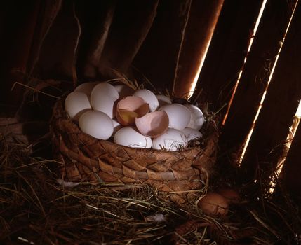 It is a lot of eggs in a basket on a mow