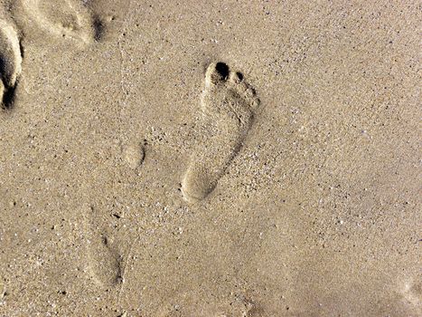 Footprint on the wet beach sand