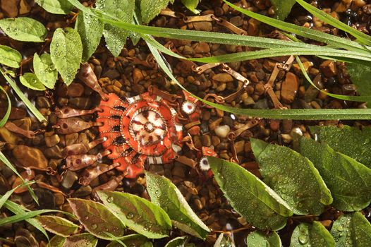 Ornament of ancient Udmurts from copper and glaze