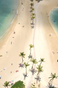 Looking down at Hawaii's Waikiki Beach in Honolulu where bathers enjoy the sand and surf litterd with palm trees.