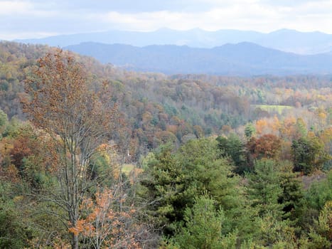 Asheville in the fall