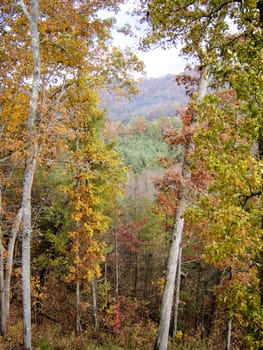 Asheville in the fall